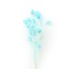 Fábrica de Yunnan atacado fruta da fortuna eterna cobertura de vidro artesanato flores aromaterapia decorativo flores secas