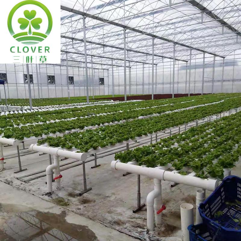 微信图片_202001061640531