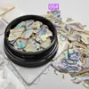 Arte de Uñas Estilo Japonés Piedra de Concha Piezas de Concha de Aurora Natural Abalón Iridiscente Piezas Largas de Concha Decoraciones de Uñas de Moda