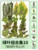 Flores Secas Plantas Artesanato para Jardim Adesivos Folhas Reais Coaster de Resina DIY Porta-Retrato Relevo 21 Peças