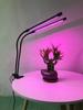 Amazon Indoor LED Clip Plant Growth Light USB Dimming Timer Full Spectrum Seedling Fill Light Gardening Light