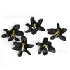 Série Preta Flores Artificiais Materiais DIY Cabeças de Flor Rosa Peônia Flores Artificiais Decoração de Caixa de Flores Amazon Acessórios Florais