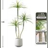 Planta Verde de Simulación Madera Milenaria Planta Falsa Lujo Ligero de Gama Alta Decoración de Interiores Árbol Sala de Estar Grande en Maceta Adornos de Piso