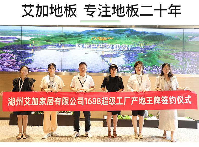 艾加详情_03.jpg