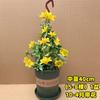 Planta trepadora de jazmín para jardín, maceta de ratán con aroma francés, ideal para interiores y exteriores, ideal para las cuatro estaciones.