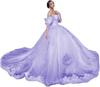 AliExpress Amazon Lace Decal Open Shoulder Adulto Cerimônia Tutu Vestido Vestido De Baile Vestido De Princesa Vestido Feminino