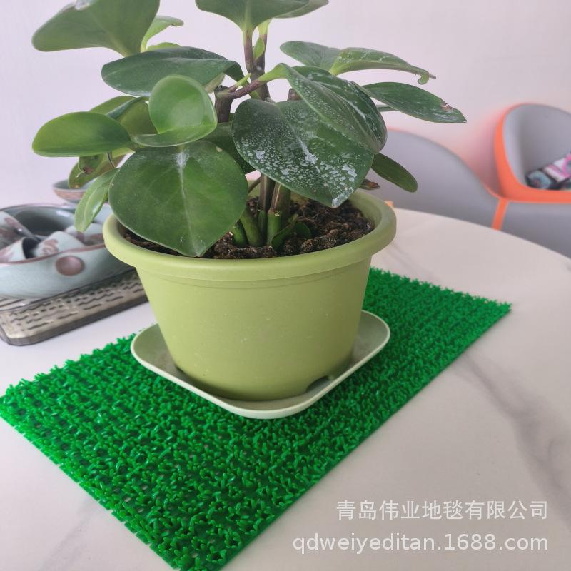小绿草