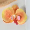 Cabeças de Flores de Orquídea Borboleta para Filme, Acessórios para Parede de Flores Artificiais, Peças de Flores Artesanais DIY, Pétalas, Presilhas de Cabelo, Enfeites de Cabelo, Lembrancinhas