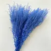 Flores Eternas de Fábrica, Plantas Verdes, Abanicos Verdes, Materiales Florales Estilo Ins, Decoración para el Hogar Nórdico, Materiales Florales para Arreglos de Boda, Flores Preservadas Soñadoras para DIY