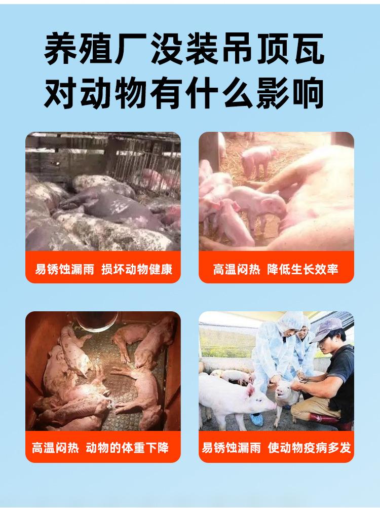 养殖场_02.jpg