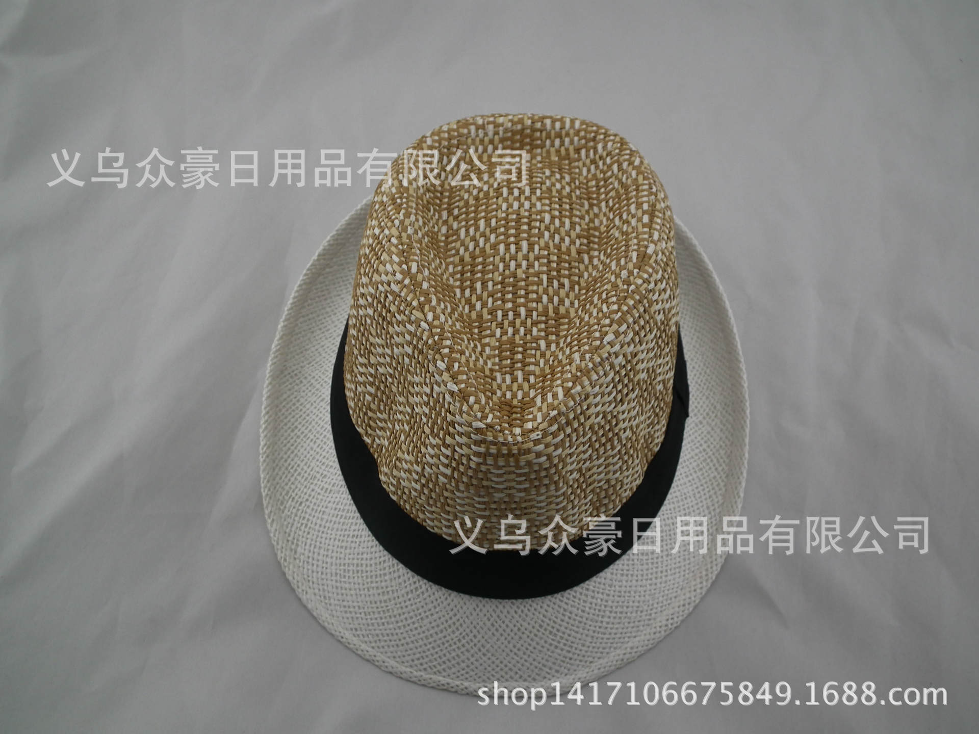 DSCF8113