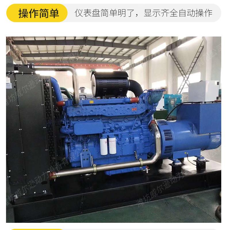 玉柴500千瓦发电机组_10.jpg