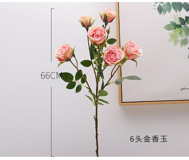 4头大茶花+6头金香玉_03.jpg