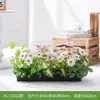 Hc-Cd3 Arreglo de Macetero de Flores de Planta Verde Simulada Combinación de Partición de Plantas Decoración de Paisajismo con Flores Artificiales Flores Falsas