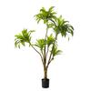 2.1 m Planta Verde Artificial Nórdica Simulada en Maceta Planta Falsa Árbol Sangre de Dragón de Hierro de Brasil Decoración Suave para el Hogar Ventana Piso
