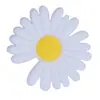 Flor de sapato borboleta de desenho animado, fivela de sapato de borracha macia de PVC removível, sapatos com buracos, sapatos de jardim, sapatos floridos, decorações, atacado
