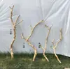 Ramas Secas, Decoraciones de Ramas, Arte con Ramas Secas, Ramas Muertas, Madera Muerta, Troncos de Árboles, Ramas de Color Natural, Percheros con Forma de Rama