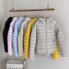 2026 Nueva Chaqueta Ligera Acolchada de Algodón con Capucha para Mujer, Moda de Invierno Abrigo de Algodón Cálido