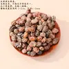 Material de cascabel de cáscara de fruta natural para accesorios de cuentas de llavero DIY hechos a mano, accesorios de pulsera, material de colgante de carillón de viento creativo