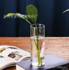 Plantas Hidropónicas Jarrón de Vidrio Recto Creativo Alto de Vidrio de Borosilicato Maceta de Flores Arte Arreglo Floral Jarrón Botella de Paisaje de Musgo
