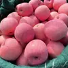 Entrega de Manzana Red Fuji Yantai Shandong 3/5/ 4.5kg Caja de Regalo de Manzana Roja Embalaje Colorido Fruta Grande Crujiente y Dulce Caja Entera Fruta Fresca