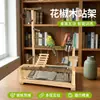 Soporte Interactivo de Escritorio para Loros Plataforma Multifuncional de Entretenimiento para Cacatúas y Periquitos para Jugar y Trepar