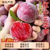 ¡Ya es temporada de Ciruelas Sanhua Frescas! Frescas, Dulces y Ácidas, Crujientes, Frutas Extra Grandes, Aptas para Mujeres Embarazadas, Caja Entera con Envío Gratis, Recién Recolectadas y Seleccionadas