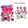 Bolsa de Flores Secas para Manualidades con Flores en Relieve, Marcapáginas de Flores en Relieve, Bolsa de Flores en Relieve, Material para Pintura en Relieve, Pegamento para Flores Reales, Hojas Secas