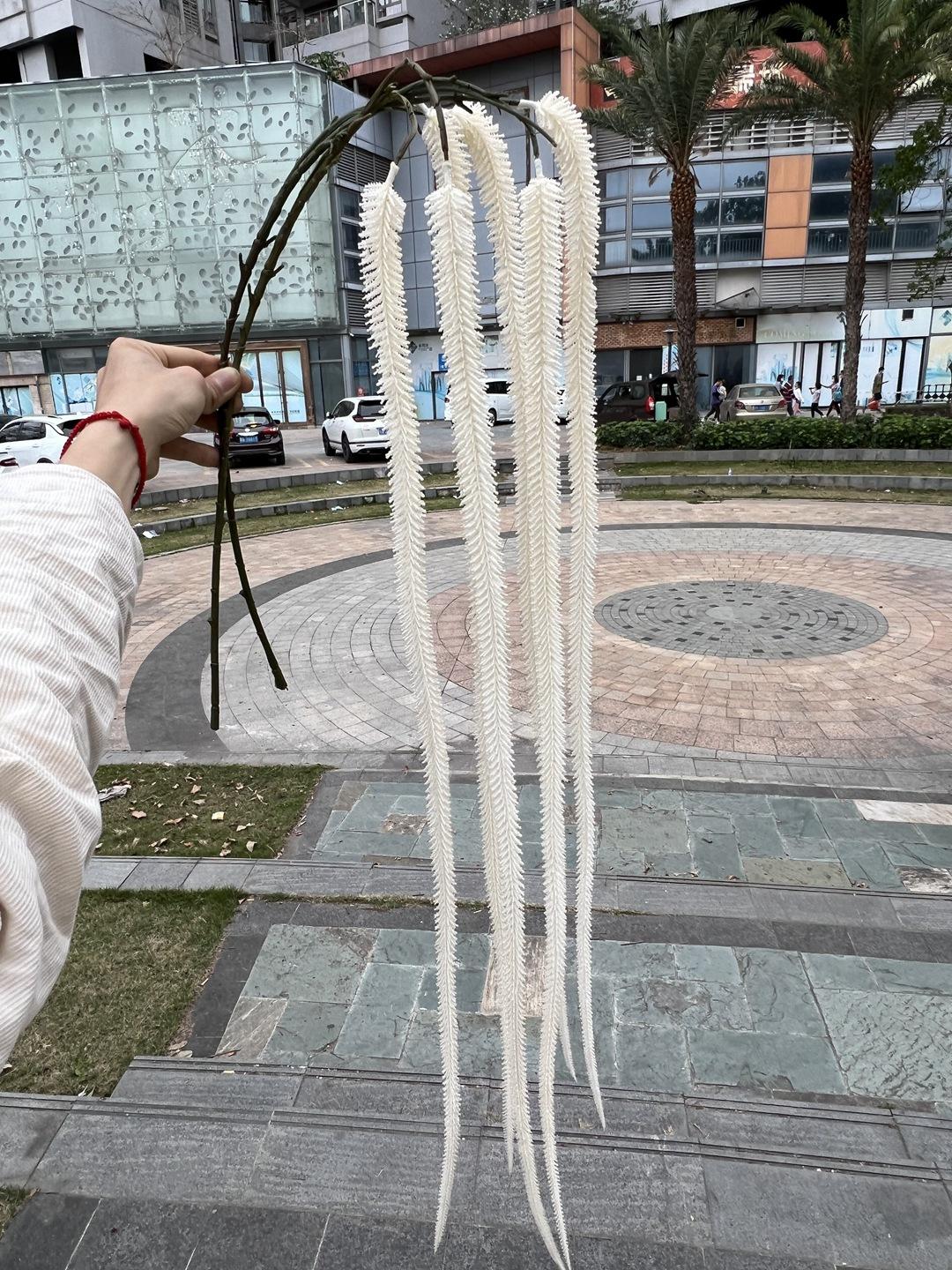 微信图片_20220325092716.jpg