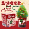 Planta Pequeno Presente de Natal Caixa Surpresa Observação de Crescimento Estudante Mini Planta Verde de Mesa Crianças DIY Criativa Planta em Vaso