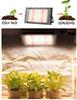 A luz solar conduziu a luz suplementar da planta lâmpada do crescimento espectro completo a plântula carnuda 110v220v da flor vegetal da estufa