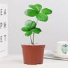 Árvore de Ferro Mexicana Trevo de Quatro Folhas em Vaso Planta Verde de Escritório Jardim de Infância Mesa Flor Emocional