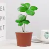 Planta em vaso Árvore de Ferro Mexicana trevo de quatro folhas, planta verde de interior para escritório, flor de humor para mesa de escritório, para creche volta às aulas