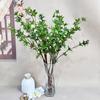 Simulación de Producto Nuevo Planta Verde Caballo Pequeño Madera Borracha Sala de Estar Escritorio Arreglo Floral Adornos Decoración del Hogar Planta Artificial Simulación Planta en Maceta