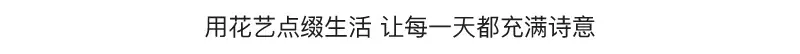 详情_07.jpg