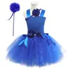 Comercio electrónico transfronterizo suministro Princesa nailon morado Mujer Ropa europea y americana hecha a mano falda de cancan ropa de ballet falda tutú