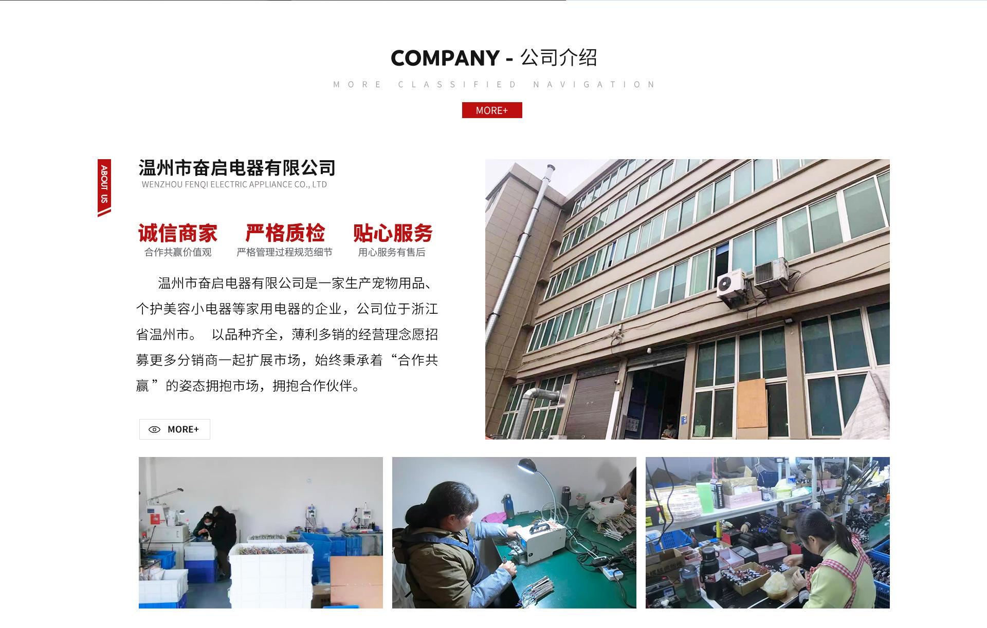 温州市奋启电器有限公司_03.jpg