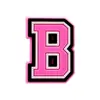 Accesorios para Zapatos Rosas con Letras y Números de Venta Caliente Transfronterizos, Bolsos Bogg, Hebillas Decorativas Desmontables para Zapatos DIY