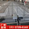 Esteira Transportadora Automática para Remoção de Esterco de Ovelhas para Cama de Ovelhas, Transportador de Correia de Malha para Vazamento de Esterco, Fabricante de Máquina de Remoção de Esterco Personalização
