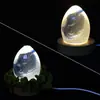 Poppy DIY Ovo de Resina de Cristal em Formato de Ovo de Dinossauro Estrela Bebê Céu Estrelado Bola Luz Noturna Espelho Molde de Silicone