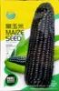 Semillas de Maíz Dulce Blanco 182: Colección Completa de Semillas para Maíz Dulce Pegajoso de Granja, Adecuado para Todas las Estaciones