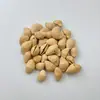 Kit de Materiais DIY de Conchas Feito à Mão para Fazer Conchas de Sino Caseiras, Feixe Sonoro, Sino de Manivela Manual, Instrumento de Acompanhamento com Sino de Mão