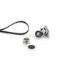Para Citroen Polea Tensora Polea K036PK1795 11720-0713R 4431986 44496