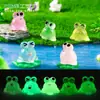 Produto novo transfronteiriço: adorável, de olhos grandes, sapinho em miniatura que brilha no escuro, acessório de decoração DIY, pequeno ornamento de mesa