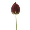 Vermelho vinho popular material de flor de simulação Eucalipto Hortênsia palma vermelha rosa vermelha com salão de casamento estrada atacado