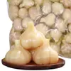 Alho Laba de Shandong, Legumes em Conserva Autênticos, Alho Açucarado, Alho Agridoce, Dentes de Alho em Conserva, Alho Verde em Conserva, Dentes de Alho em Conserva