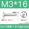 Tornillos Autorroscantes de Acero Inoxidable 304 Ta Tornillos Autorroscantes de Cabeza de Hongo Cruz M3M4M5M6 Tornillos de Acero Inoxidable