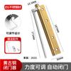 Fechador de Porta Simples Leve de Aço Inoxidável para Porta de Hotel Porta de Madeira Doméstica Amortecedor Silencioso Fechador de Porta Automático Ajustável