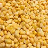 Calidad de Exportación, Exclusivamente para Europa y América, Granos de Maíz Dulce Congelados Rápidamente, Pedido Mínimo 1 Tonelada, Directamente del Fabricante de Origen, para Uso Comercial en Arroces, Tamales y Ensaladas