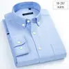 Camisa Oxford de Manga Larga para Hombre de Color Sólido 100% Algodón, Camisa Base Casual Estilo Coreano, Camisa para Hombre 100% Algodón, Venta al por Mayor